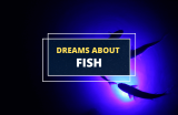 Dreams About Fish – Meaning and Symbolism