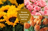 25 Flowers Symbolizing Happiness and Joy