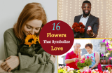 16 Flowers That Mean Romance and Love