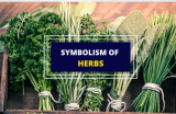 Symbolism of Herbs – A List