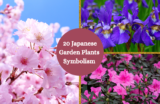 20 Japanese Garden Plants and Their Symbolism