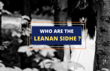 Leanan Sidhe –Demonic Irish Seductresses