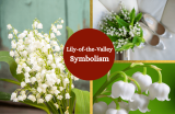 Lily-of-the-Valley: Meaning and Symbolism