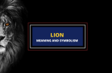 Lion – Meaning & Symbolism