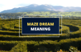 Dreaming About a Maze – What Does It Mean?