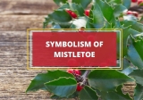 What Is the Symbolism of Mistletoe?