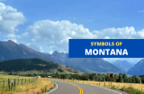 Symbols of Montana and Why They’re Important