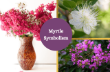 Myrtle Symbolism and Meaning