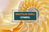 Nautilus Shell Symbol – Beauty and Perfection in Nature