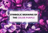 Purple Color Symbolism and Meaning