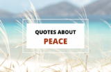 100 Motivational Peace Quotes