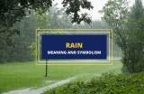Rain – Meaning and Symbolism