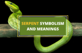 Serpent Symbolism and Meaning