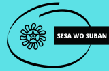 Sesa Wo Suban – Symbolism and Importance