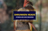 The Strange History of Shrunken Heads (Tsantas)