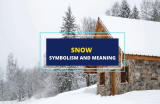 Snow – Meaning and Symbolism