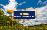 Spring: Powerful Symbols and Symbolism of the Season