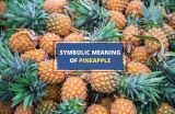 Pineapple – Symbolism and Meaning