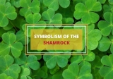What is a Shamrock and What Does It Symbolize?