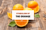 Symbolism of the Orange: And How to Use It!