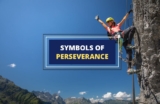 19 Powerful Symbols of Perseverance and What They Mean
