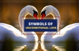 25 Profound Symbols of Unconditional Love