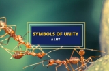 12 Popular Symbols of Unity and Their Meanings