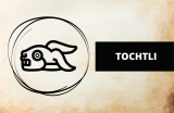 Tochtli’s Tale: Unraveling the Aztec Rabbit Symbolism