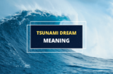 Tsunami Dream – Meaning and Symbolism