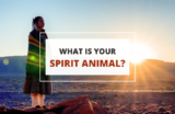 What’s Your Spirit Animal? – A Guide to Find It