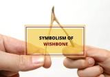 Wishbone Symbolism – Why is it Lucky?